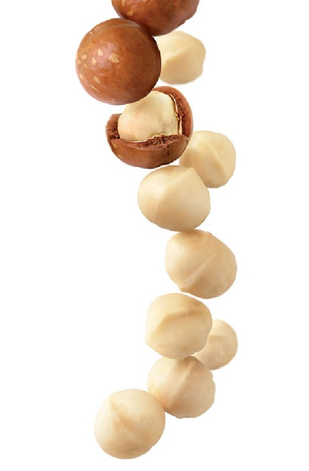 Routin sirop noix de macadamia bouteille verre