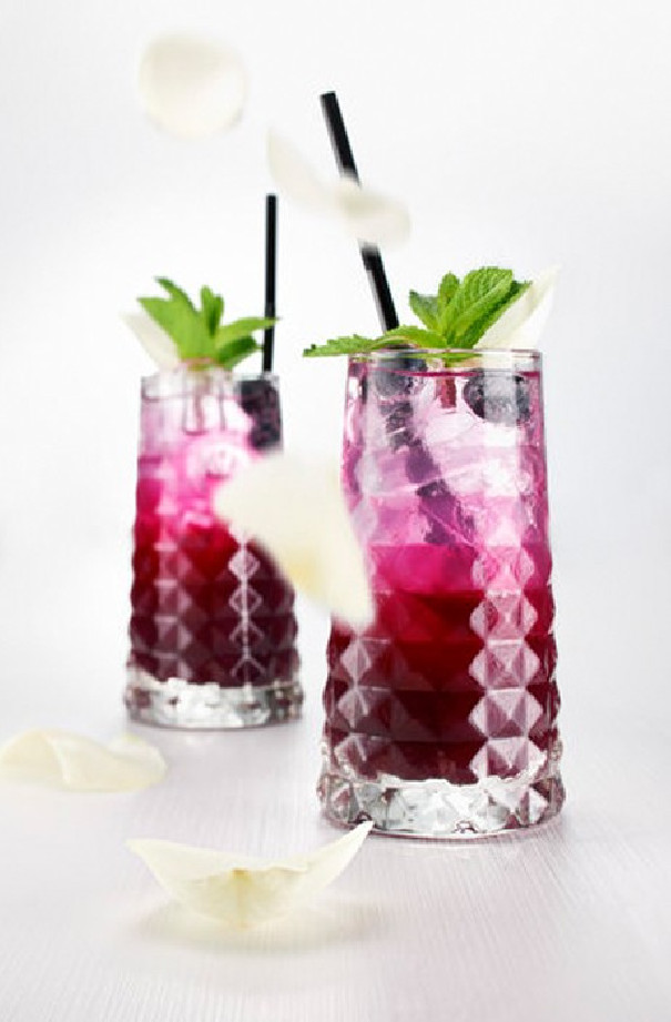 Routin sirop myrtille