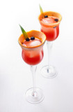 Routin sirop myrtille