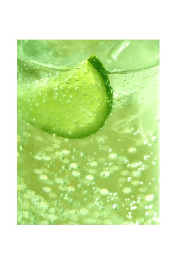 Routin sirop citron vert Routin sirop citron vert