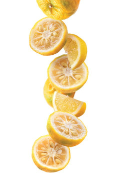 Routin sirop yuzu citron