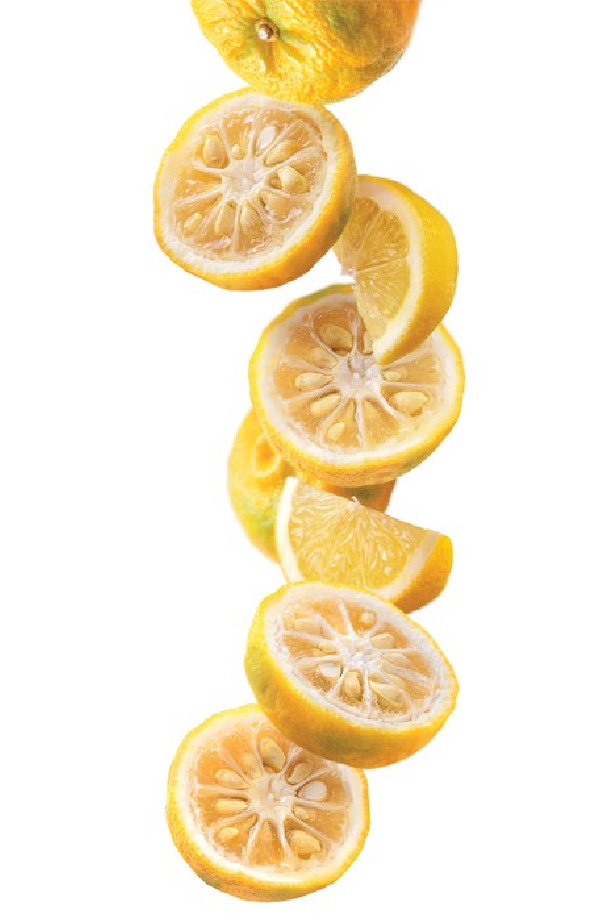 Routin sirop yuzu citron