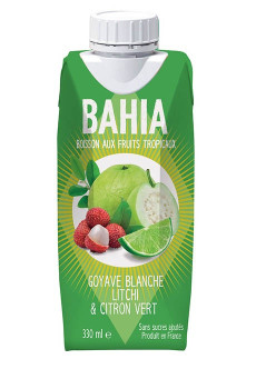 Bahia mangue passion maté