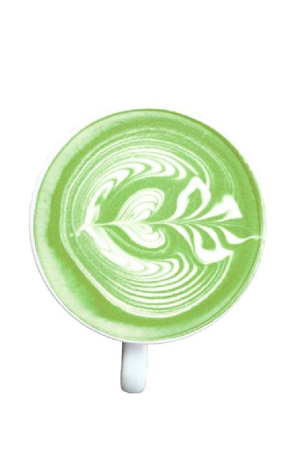 Superfood Green Matcha Latte poche 250g