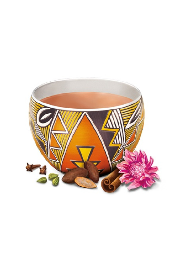 Infusion Choco sachet 17 x 2.2g BIO