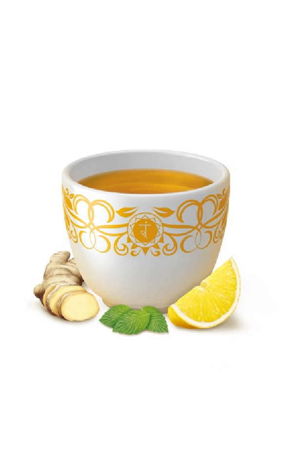 Infusion Gingembre Citron sachet 17 x 1.8g BIO Infusion Gingembre Citron sachet 17 x 1.8g BIO