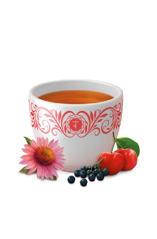 Infusion Défenses Naturelles  sachet 17 x 2g BIO Infusion Défenses Naturelles  sachet 17 x 2g BIO