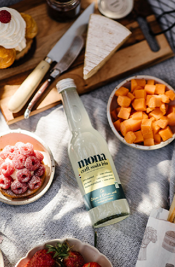 MONA - SODA CITRON CITRON VERT 330ML x12 BIO