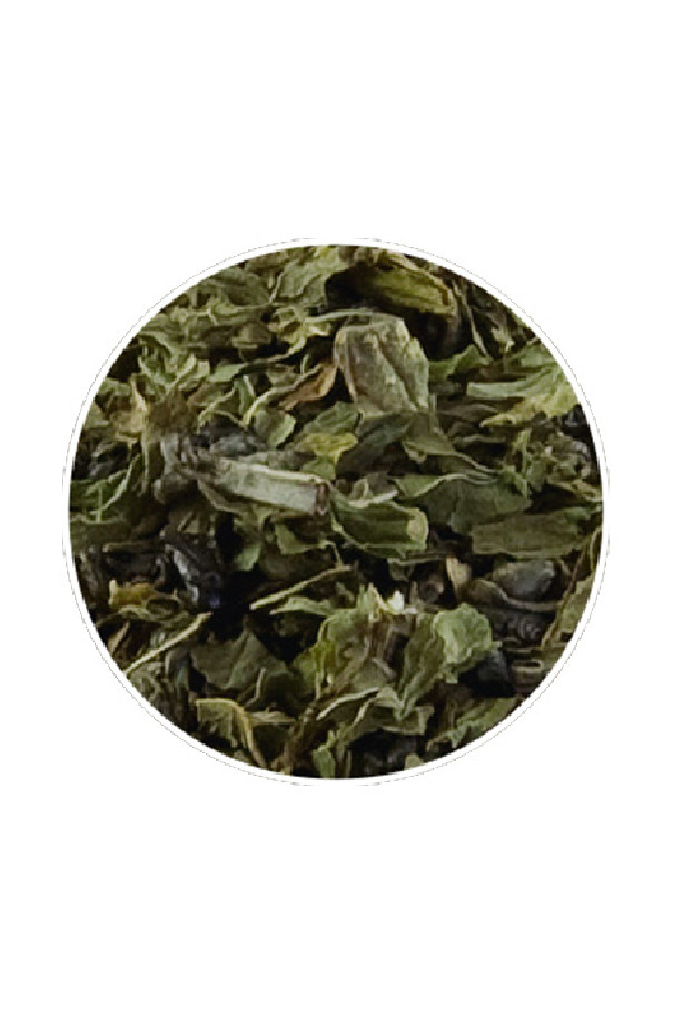 Thé vert Gunpowder Mint sachet 15 x 3.5g Thé vert Gunpowder Mint sachet 15 x 3.5g