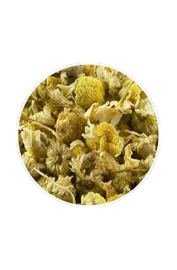 Infusion Pure Camomille sachet 15 x 3.5g Infusion Pure Camomille sachet 15 x 3.5g