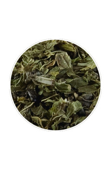 Thé vert Gunpowder Mint poche vrac 250g