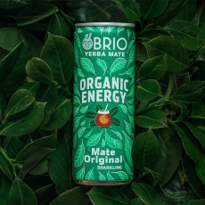 BRIO MATE - MATE ORIGINAL CANETTE 250ML x12 BIO