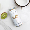 HUMBLE - EAU PETILLANTE COLLAGENE COCONUT KIWI CANETTE ALU 330ML x24