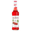 MONIN - SIROP SPICY 700ML BOUTEILLE VERRE