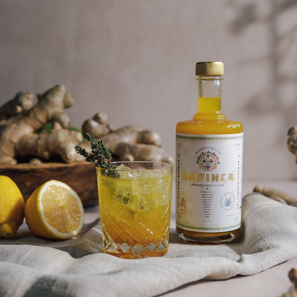 SAPINCA - ROOT ELIXIR GINGEMBRE ET EPICES BOUTEILLE VERRE 495ML BIO SAPINCA - ROOT ELIXIR GINGEMBRE ET EPICES BOUTEILLE VERRE 495ML BIO