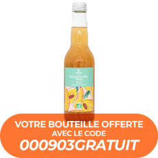 ATIKA - KOMBUCHA PECHE 330ML x12 BIO