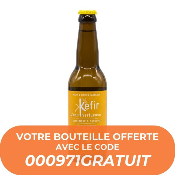 KEFIR EAU VERTUEUSE - GINGEMBRE CURCUMA 330ML ECHANTILLON x1 BIO