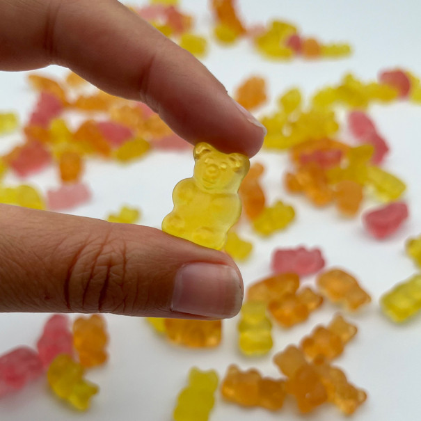 TINYBIRD - BONBONS DIVINS MULTIFRUITS VEGETAL SANS SUCRE SACHET 50G x10