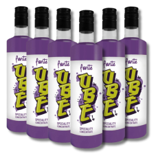 Fonte - Concentré ube bouteille plastique 750ml