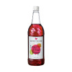 Sweetbird - Sirop fruit du dragon et papaye bouteille PET 1L