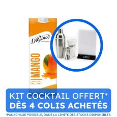DAVINCI GOURMET - SMOOTHIE MANGUE BRIQUE 1L