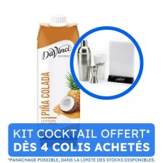 DAVINCI GOURMET - COCKTAIL MIX PINA COLADA BRIQUE 1L x10