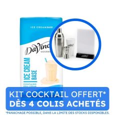DAVINCI GOURMET - ICE CREAM BASE FRAPPE ET MILKSHAKE BRIQUE 1L x12