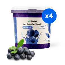 NOSTEA - PERLES DE FRUIT SAVEUR MYRTILLE COLORANTS NATURELS SEAU 3.2KG