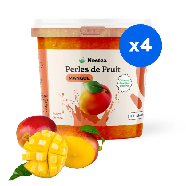 NOSTEA - PERLES DE FRUIT SAVEUR MANGUE COLORANTS NATURELS SEAU 3.2KG