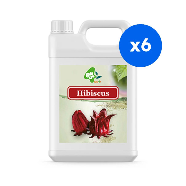 BOBOQ - SIROP HIBISCUS BIDON 2.5KG