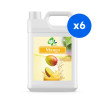 BOBOQ - SIROP MANGUE BIDON 2.5KG