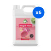 BOBOQ - SIROP PITAYA FRUIT DU DRAGON BIDON 2.5KG