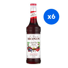 MONIN - SIROP FRUITS ROUGES EPICES BOUTEILLE VERRE 700ML