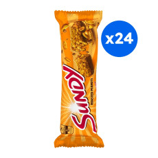 SUNDY - BARRE DE CEREALES PEANUT CACAHUETES GRILLEES 36G x24