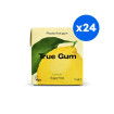 TRUE - CHEWING-GUM CITRON SANS SUCRES PRÉSENTOIR 21G x24