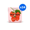 TRUE - CHEWING-GUM FRAMBOISE ET VANILLE SANS SUCRES PRÉSENTOIR 21G x24