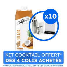 DAVINCI GOURMET - COCKTAIL MIX PINA COLADA BRIQUE 1L x10