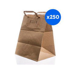 SAC CABAS PAPIER KRAFT H.320 x L.160 x P.350 MM x250 LOGO TRI