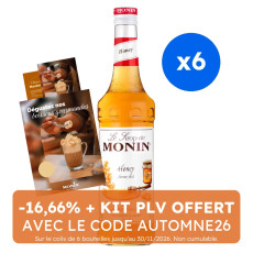 MONIN - SIROP MIEL 700ML BOUTEILLE VERRE