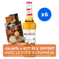 MONIN - SIROP PAIN D'EPICES 700ML BOUTEILLE VERRE