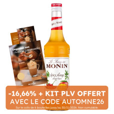 MONIN - SIROP SPICY MANGO 700ML BOUTEILLE VERRE