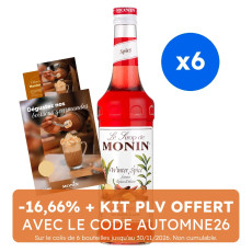 MONIN - SIROP WINTER SPICE 700ML BOUTEILLE VERRE