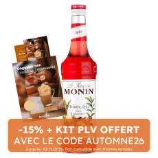 MONIN - SIROP WINTER SPICE 700ML BOUTEILLE VERRE
