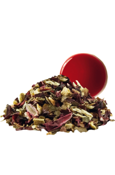 Luxury tea sachet recharge summerfruits