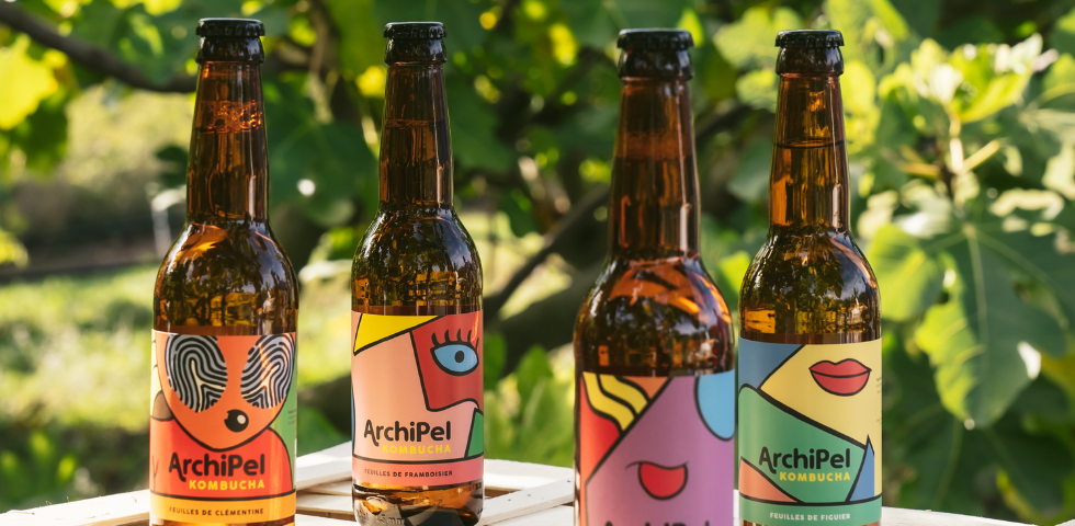 Le kombucha s’impose à table : focus sur Archipel