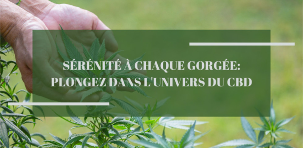 Sérénité à Chaque Gorgée: Plongez Dans l'Univers du CBD