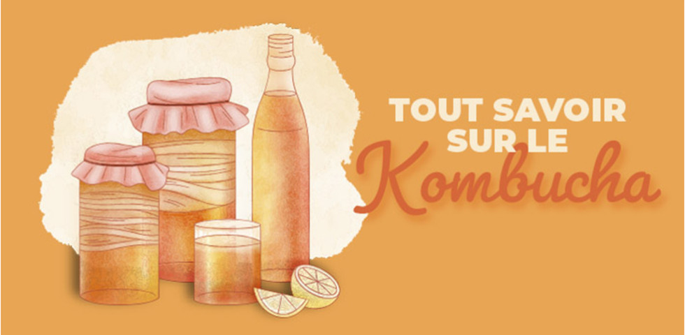 Le Kombucha : l'alliance du plaisir et du fonctionnel